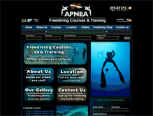 Tablet Screenshot of apneaschool.com